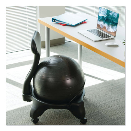 Inbox Zero Backed Ergonomic Ball Chair with Wheels Wayfair
